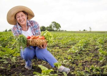 O que é preciso para se aposentar como trabalhador rural?