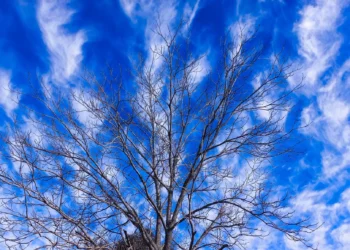 Quais as características e como identificar uma nuvem cirrus