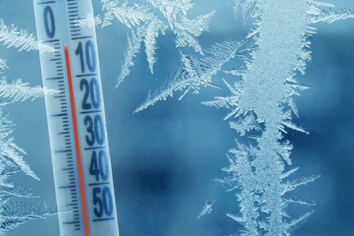 frio