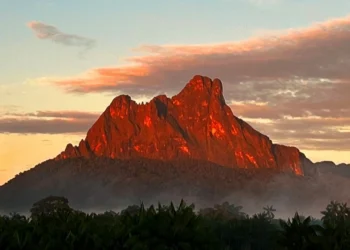 Qual a maior montanha do Brasil?