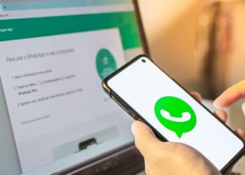 Consulta do Bolsa Família pelo WhatsApp: passo a passo