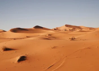 deserto
