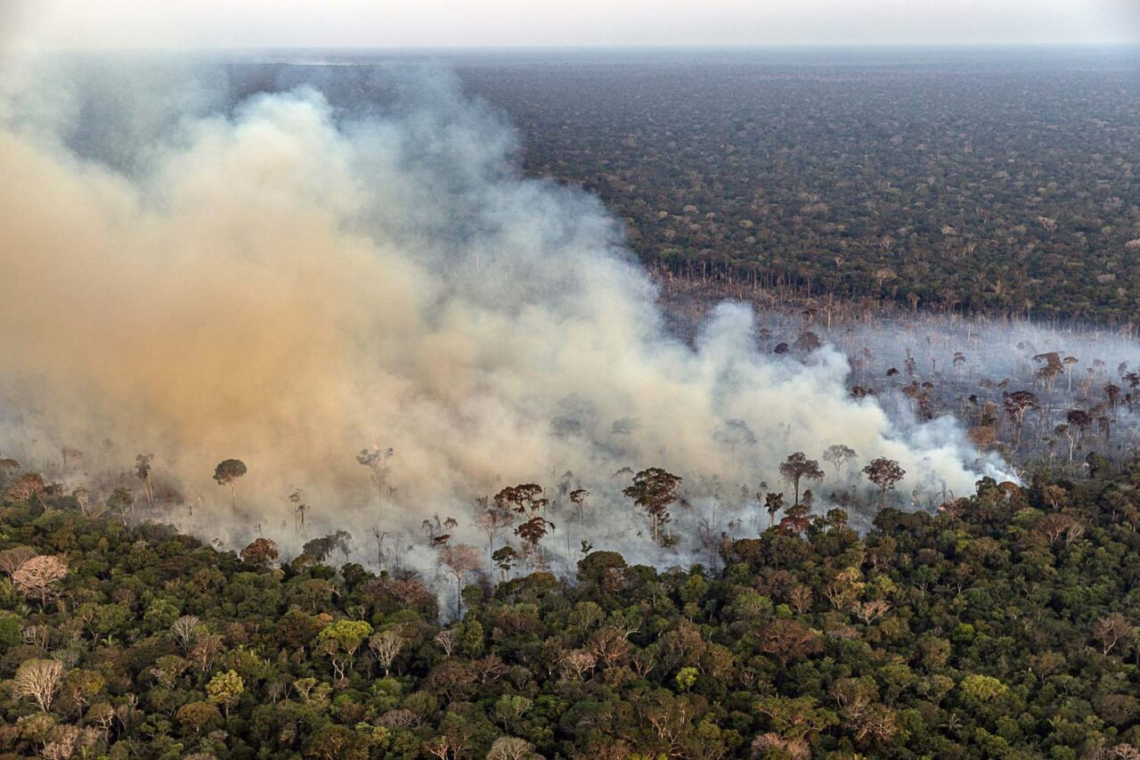 Queimada + Fumaça + Amazônia