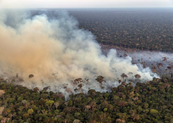 Queimada + Fumaça + Amazônia