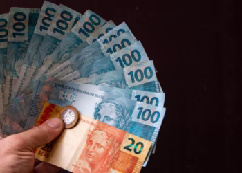 14° salário vai ou não ser pago pelo INSS em 2024?