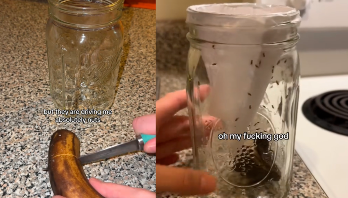 Moscas da fruta na cozinha? Truque dos antigos afasta todas rapidamente