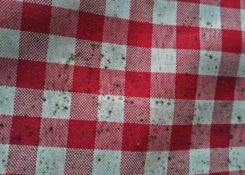 Técnica milenar tira todas as manchas de roupas coloridas