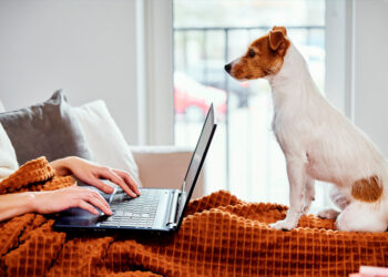 Ganhe muito dinheiro trabalhando sem sair de casa