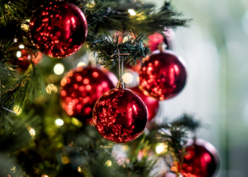 Pagamento do Bolsa Família vem antes do Natal