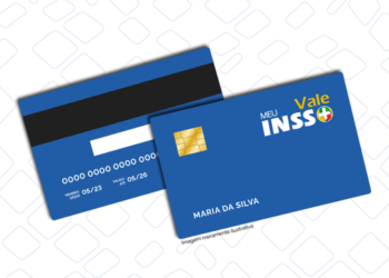 Entenda o que é o Meu INSS Vale+