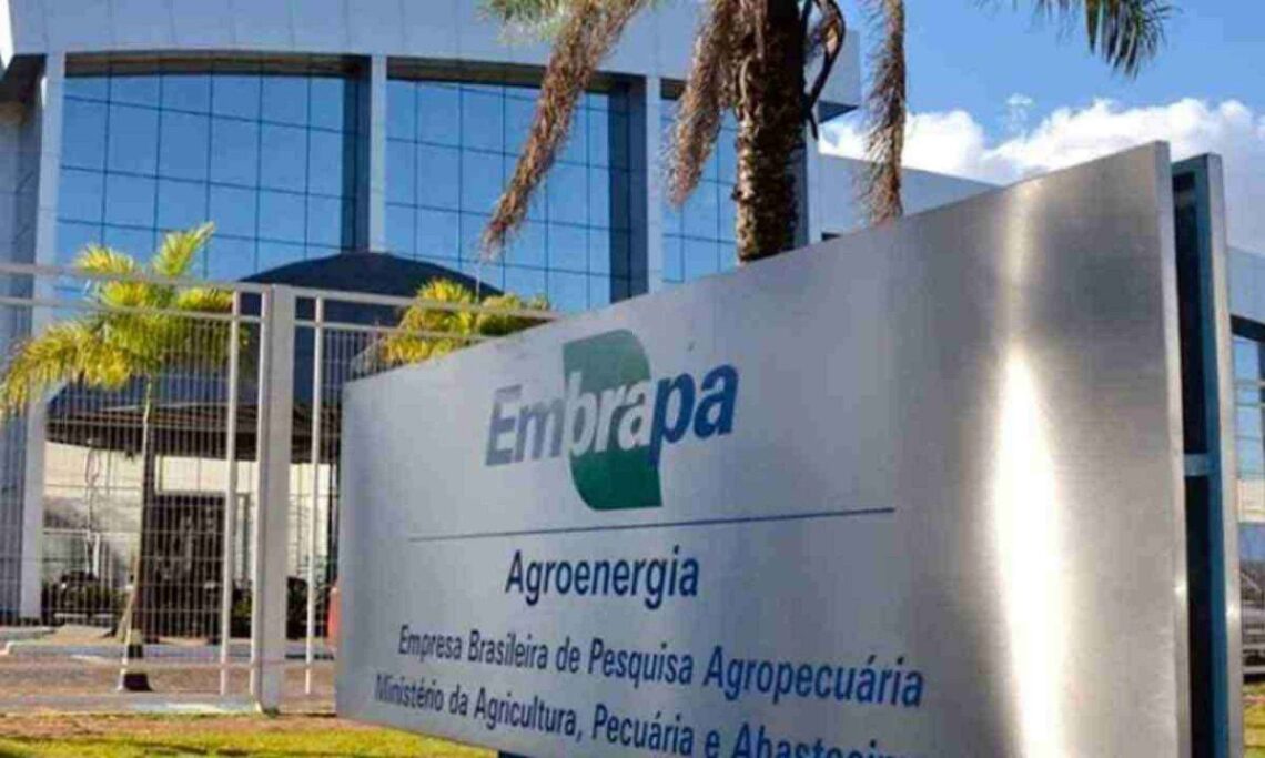 Embrapa oferece mais de 1.000 vagas em concurso com salários atrativos