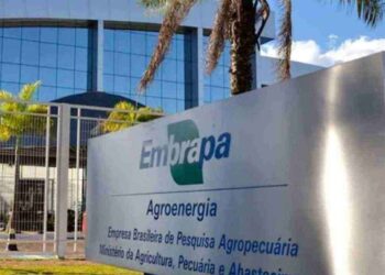 Embrapa oferece mais de 1.000 vagas em concurso com salários atrativos