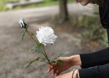 Como solicitar a pensão por morte no INSS após falecimento do titular