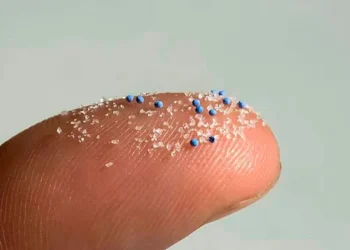 Microplásticos são encontrados em cérebros humanos; entenda o impacto