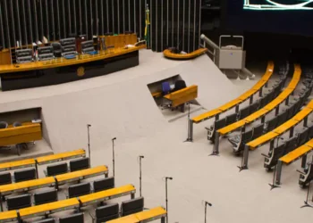 Câmara discute aumento de pena para infração ambiental, mudanças no saque do FGTS e mais; veja as propostas