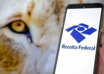 TCU cobra INSS por correção no pagamento do BPC